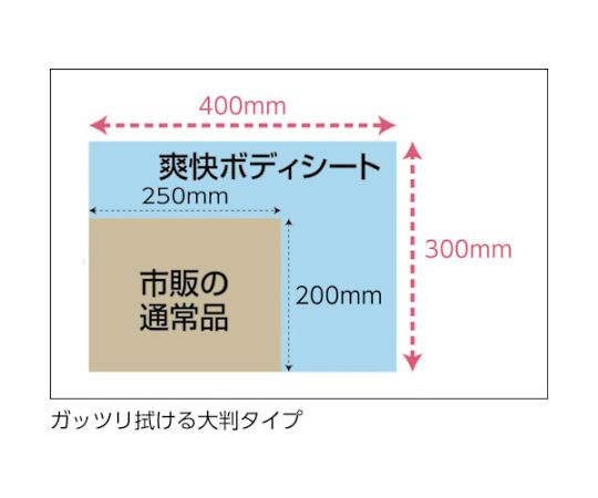 爽快ボディシート 厚手タイプ 30枚入り　TBS-30 1パック(30枚入)