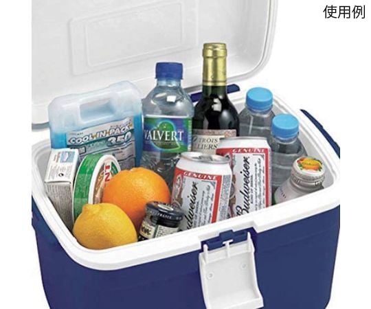 Cooler Box Forest Crew #13 620484 1 piece