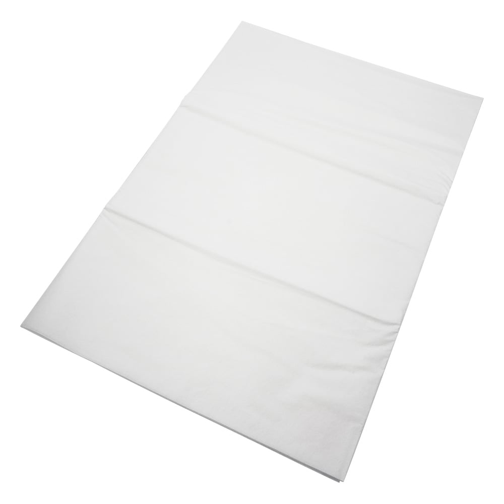 Disposable Sheets Small Bag (10 Sheets) ADS-1020-1 1 Pack (10 Sheets)