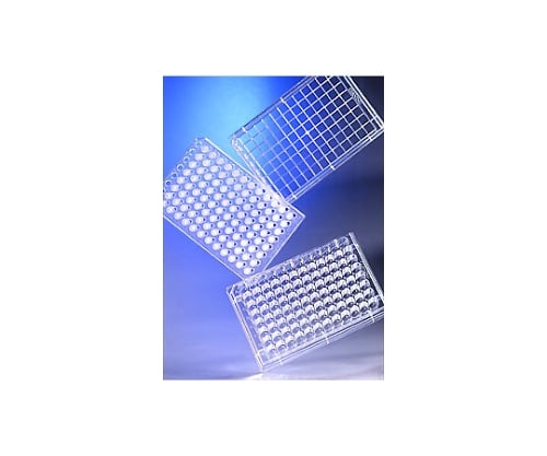 트랜즈 웰 인서트 일체형 96 웰 1.0μ 폴리에스테르 멤브레인 5개/팩×1 팩 3392 1 케이스(5개×1 팩입)