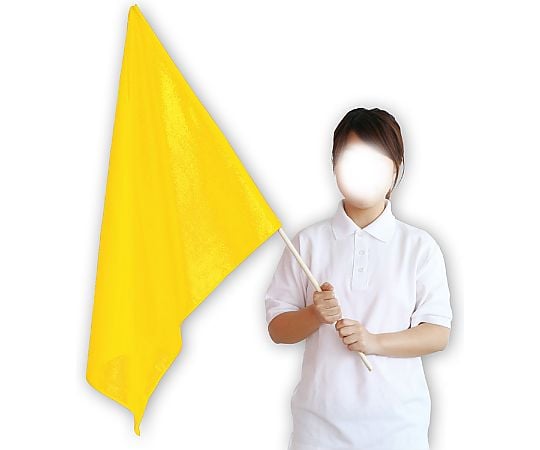 Extra large flag (800 x 600) yellow 2198 1 box