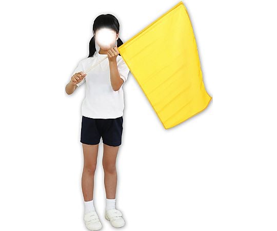 Extra large flag (800 x 600) yellow 2198 1 box