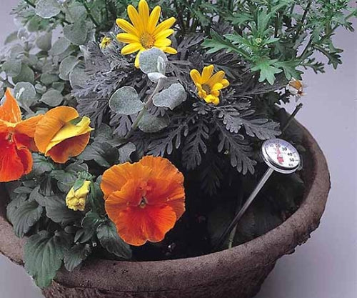 Quick Thermo Display: φ26mm, Sensor Probe: φ4mm x 125mm 25g (including holder) Blue TD-8256 1 piece