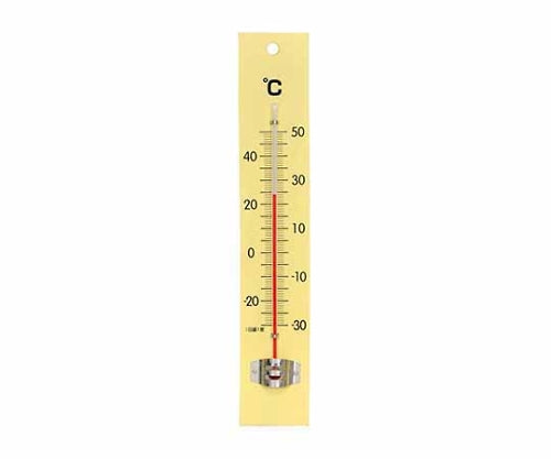 Thermometer (wooden) 250 x 45 x 10 mm 100 g (blister) TG-6551 1 piece