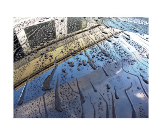 Water-repellent shampoo 30 for all colors 4L 21-041 1 bottle