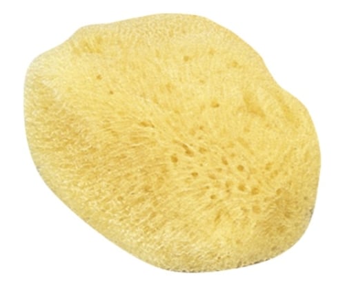 天然海綿 大　CR-SG250-AM 1個