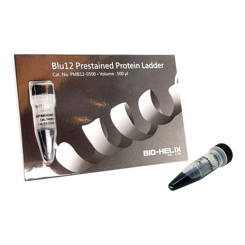 BLUeye Prestained Protein Ladder Protein Ladder Marker PMB12-0500 1 piece