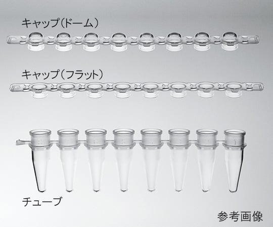 トレフ PCRチューブ 0.2mL （8連チューブ） ナチュラル 1箱（125本入）　96.10560.9.01 1箱(125本入)