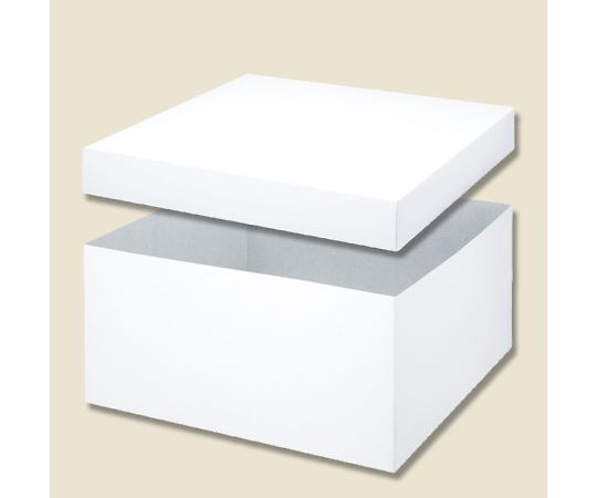 HEIKO 箱 バラエティボックス 0-24-150 10枚　006845300 1パック(10枚入)