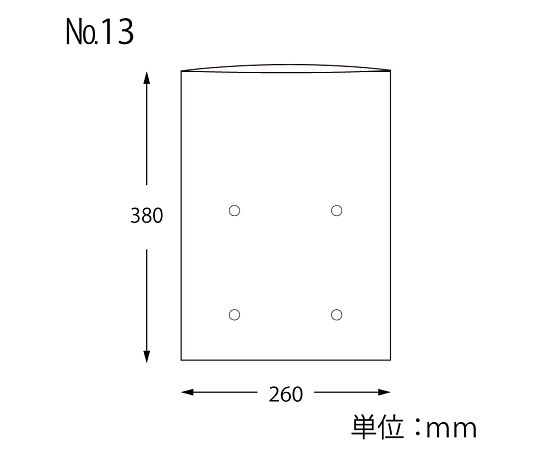 SWAN ポリ袋 ボードンパック 穴ありタイプ 厚み0.02mm NO.13 100枚　006763113 1パック(100枚入)