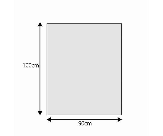 ゴミ袋 LDポリ透明 エコノミー 90L 10枚 0.045×900×1000mm　006604860 1パック(10枚入)