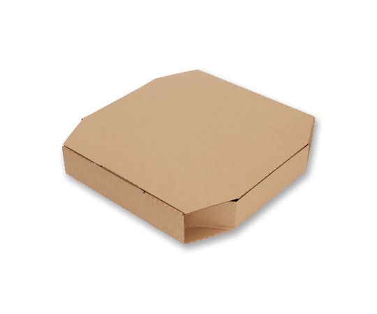 HEIKO 食品容器 ネオクラフトボックス ピザボックス M 10枚　004248004 1パック(10枚入)