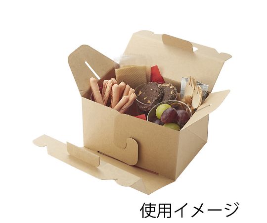HEIKO 食品容器 ネオクラフトボックス キャリーボックス L 20枚　004248013 1パック(20枚入)