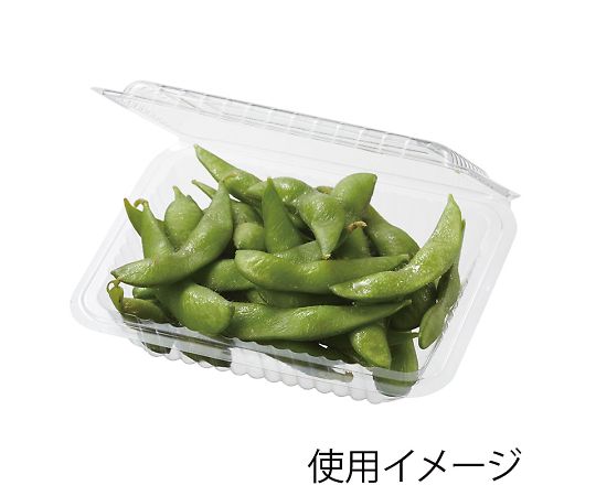食品容器 フードパック(折蓋タイプ) H-3-B 小浅 100枚　004420530 1パック(100枚入)