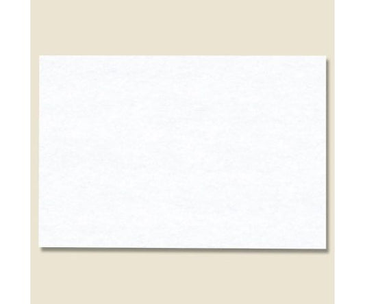 일본식 테이블 매트 백도 100장 004660299 1팩(100장입)