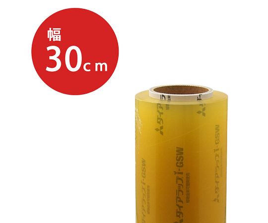 ダイアラップi-GSW 300×750　004302406 1本