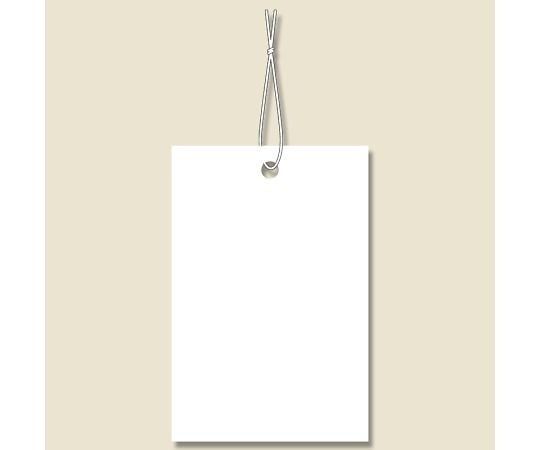 HEIKO 提札 No.606 綿糸付き 100枚　007158334 1パック(100枚入)