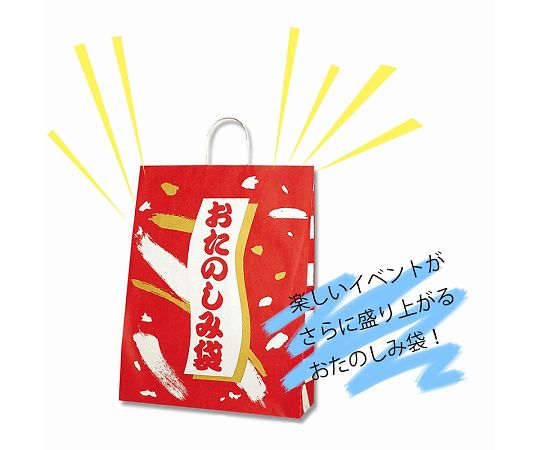 HEIKO 紙袋 福袋 25チャームバッグ 25CB カスタムB おたのしみ袋A 50枚　003280600 1パック(50枚入)