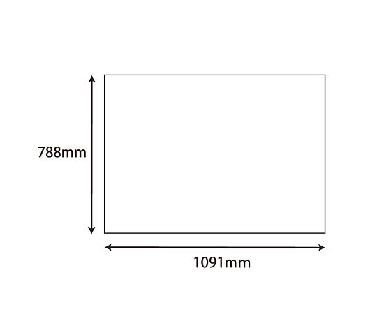 HEIKO 模造紙 白 1091×788mm 5枚　002495210 1本(5枚入)