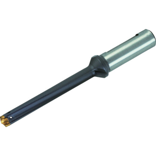 이스컬 캠 드릴 헤드 교환식 드릴 홀더 DCM-5D DCM 240-120-25A-5D 1개