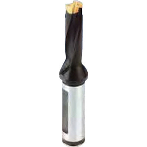 イスカル　カムドリル　ヘッド交換式ドリルホルダ　ＤＣＭ−３Ｄ　DCM 250-075-25A-3D　1 個