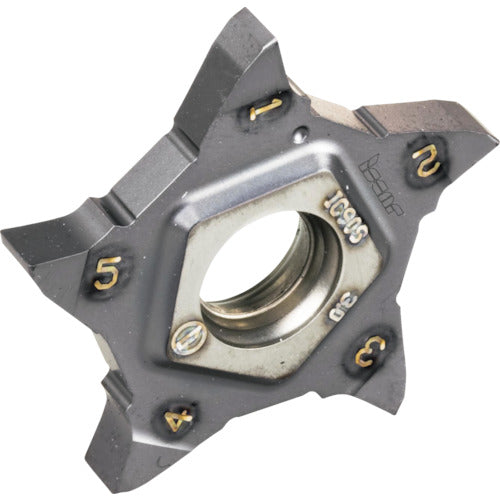 이스컬 펜타컷 칩 펜타 24N-PF/P IC30N PENTA 24N185PF020 5개