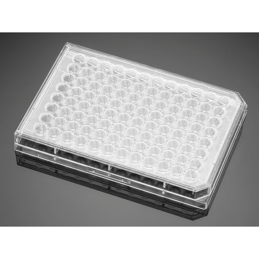 Non-treatment plate 96 well U-bottom with lid 1 case (1 piece x 50 packs) 351177 1 case (1 piece x 50 packs)