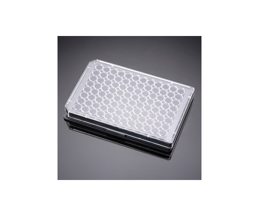 96-well plate, black well/clear bottom, cell culture, with lid, 1 case (8 pieces x 4 packs) 353219 1 case (8 pieces x 4 packs)