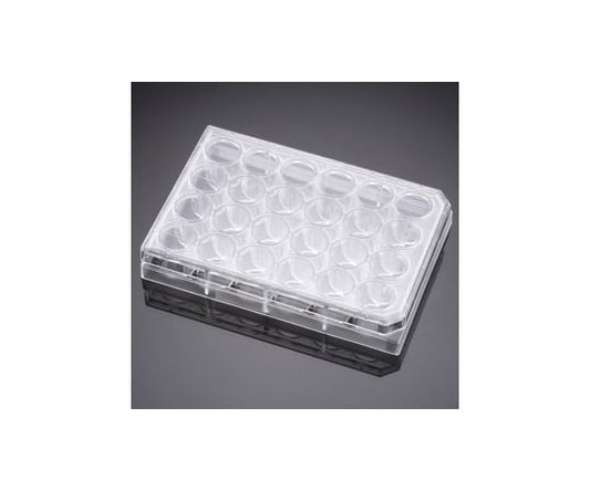 Cell Culture Insert Companion Plate 24 Well with Lid 1 Case (1 pc x 50 packs) 353504 1 Case (1 pc x 50 packs)