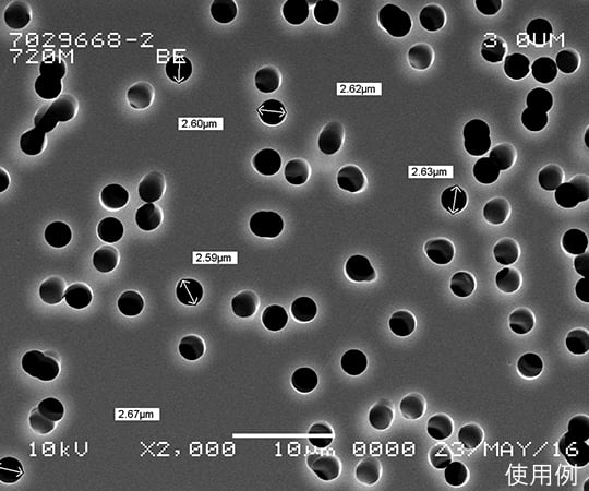 Polycarbonate Membrane PCTE47mm, 0.2um 1 box (100 sheets) 1215612 1 box (100 sheets)