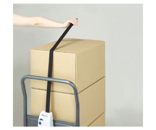 LocFIT (Lock Fit) Tie-Down Reel for Carts LF-3037 1 pc