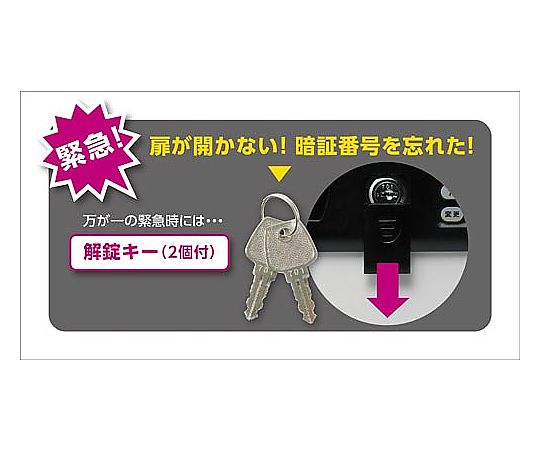 PIN code key box with keypad for 24 keys KS-7121 1 unit