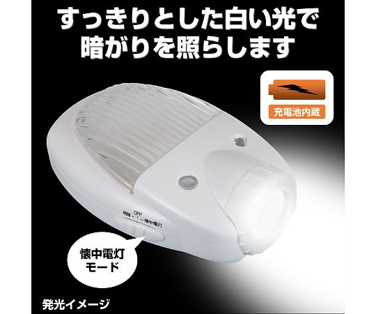 LEDセンサーライト　TDH-300 1個