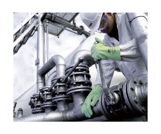 Solvent-resistant gloves Rubyflex NB60S L 9893269 1 pair