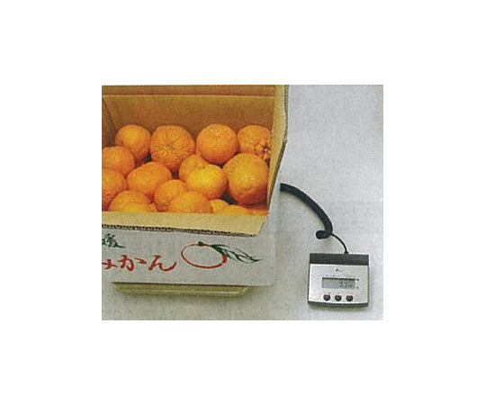 100kg (500g) digital scale EA715SE-1 1 unit