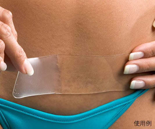 EpiDerm Epi-C Strip 1 piece Clear 1 sheet (6 pieces)