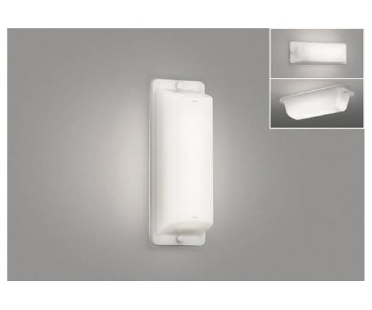 勝手口灯　JBK39700L 1個