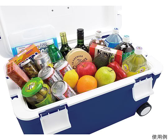 Cooler Box Forest Crew Dark Blue #45 1pc