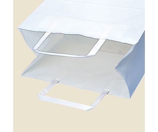 Paper bag for carrying H25 Charm Bag, Bleached white plain, 50 pieces, 003274120, 1 bag (50 pieces)