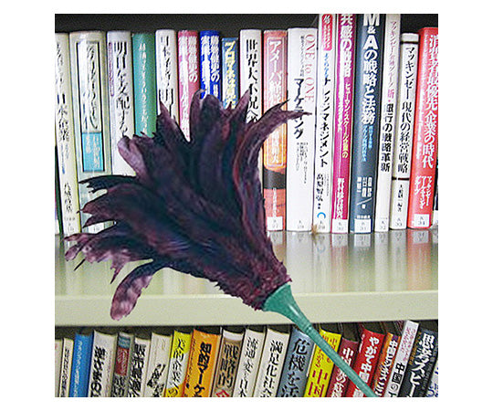 Feather Duster 60 AG714 1pc