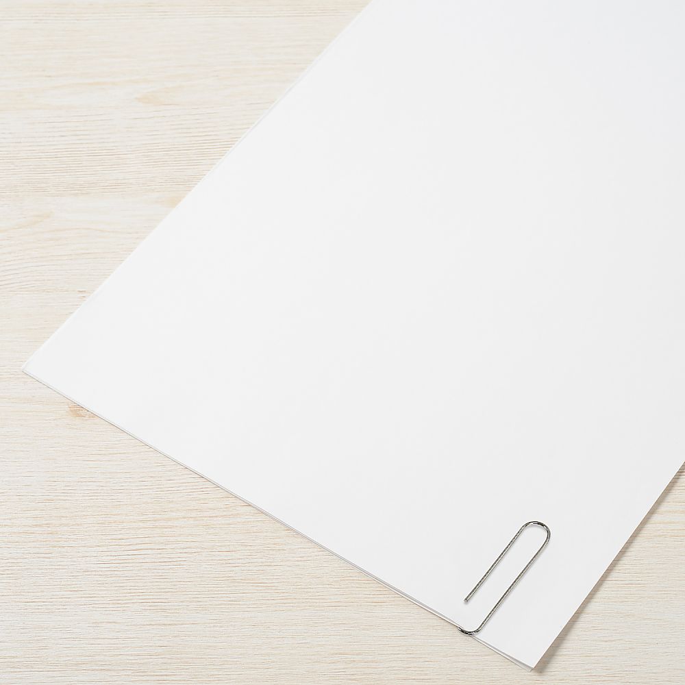 Extra Large Paper Clips No. 00 100 pcs CP-301 1 pack (100 pcs)