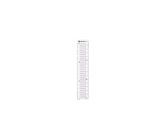 Recycled PET straight ruler 15cm B331J 1 piece