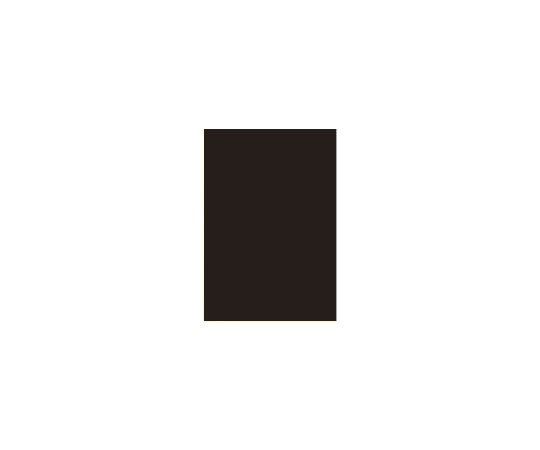 色画用紙　8ツ切10枚　濃い黒　P148J-19 1パック(10枚入)