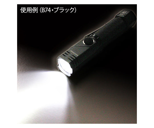 Swivel Hand Light Black B74UV 1 piece