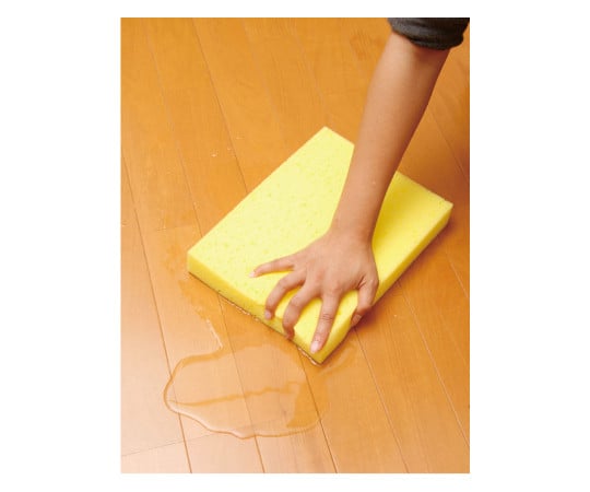 Water absorption sponge 15032 1 piece