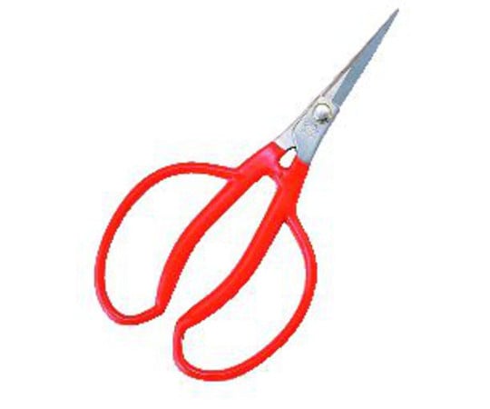 Koshiji Stainless Grape Thinning Scissors 175mm K-14 1pc