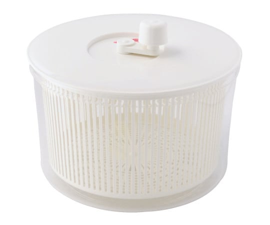 バリバリサラダ　ビッグ　6600cc　TP1008 1個