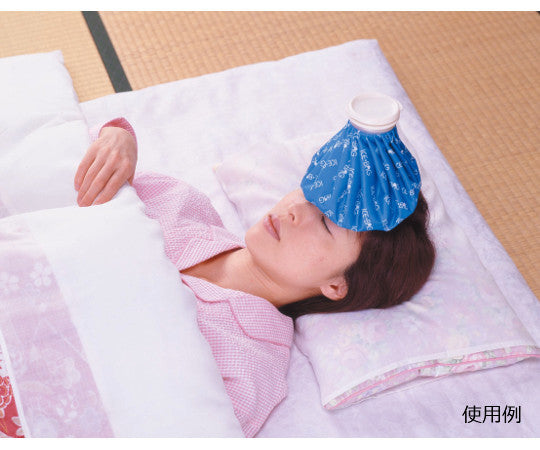 ハンディ氷のう　大サイズ　F2057 1個