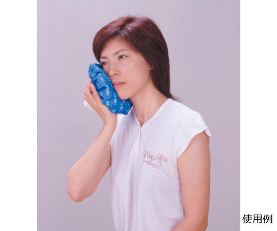 ハンディ氷のう　大サイズ　F2057 1個