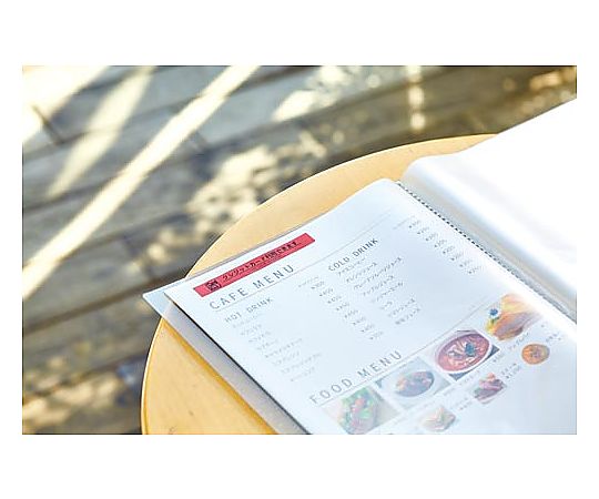 Label writer "Tepra" PRO SR370 1 unit